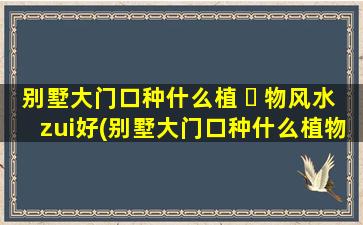 别墅大门口种什么植 ☘ 物风水zui
好(别墅大门口种什么植物风水zui
好吉利)